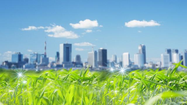 free-wallpaper-5.jpg